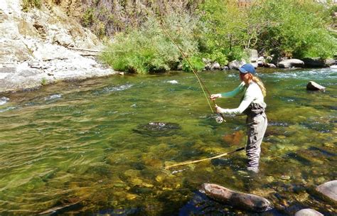 Upper Sacramento River Fly Fishing - Best Fishing in America