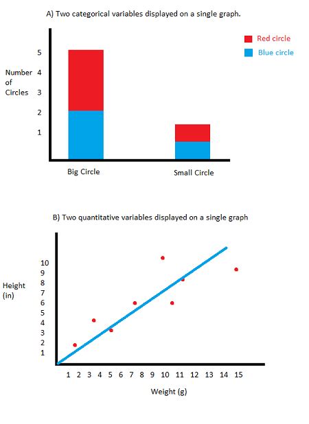 [最新] quantitative vs categorical graphs 324612-Quantitative and ...