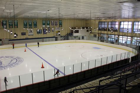 City Council OKs Ice Arena renovations | Herald Community Newspapers ...