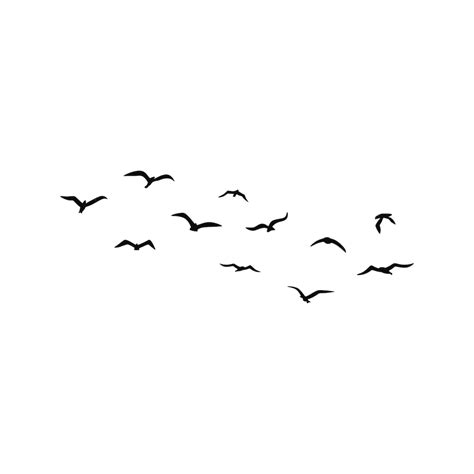 Premium Vector | A flock of flying silhouette birds Vector illustration