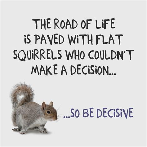 Squirrel Quotes Squirrel Sayings - ShortQuotes.cc