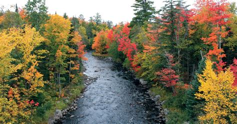 Top fall-color drives in Michigan, and dates to go