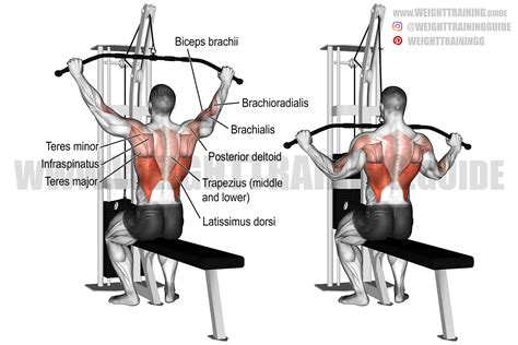 Lat Pull Down Machine, Here Is Why Lat Pull Down Machines Are Best For ...