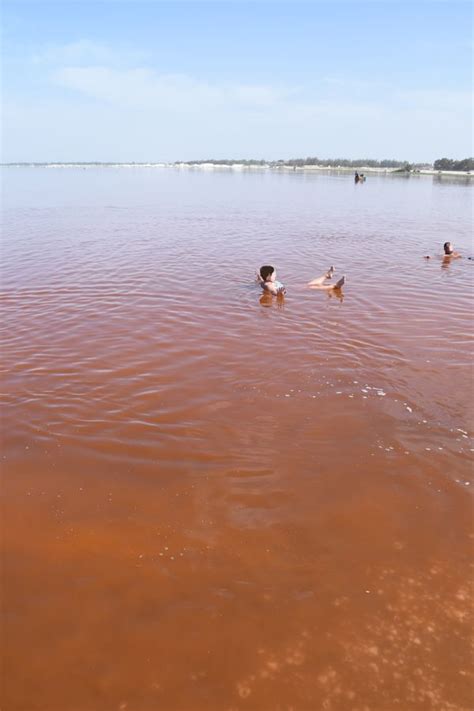 some people swimming in the water on a sunny day