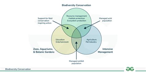 Biodiversity Conservation - Definition, Method and Strategies ...