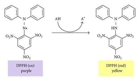 DPPH Reaction Mechanism | Download Scientific Diagram