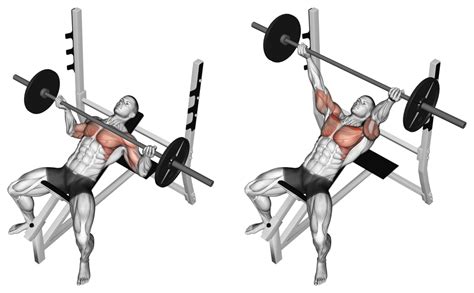 7 Best Barbell Bench Press Variations (with Pictures!) - Inspire US