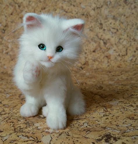 White cat Realistic stuffed animals Poseable art doll | Etsy