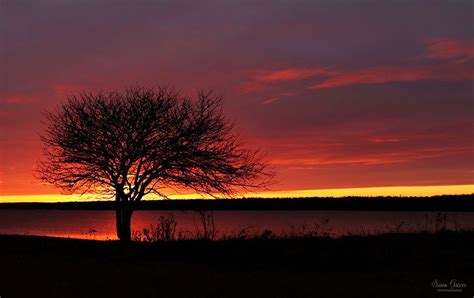 Sunset Bar Harbor, Maine | Sunset photography, Sunset, Maine