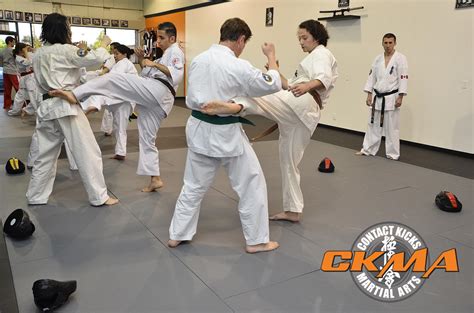 The Beginner’s Guide to Kyokushin Karate - The Martial Way