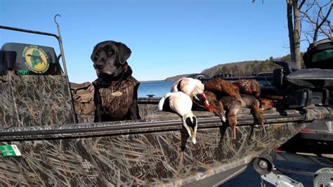 Sea Duck Hunting | Guided Hunting for Birds | East Coast Hunting ...