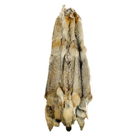 Glacier Wear - Select Semi-Heavy Western Coyote Pelt For Sale