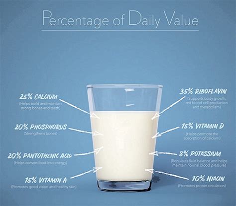 Benefits of Milk That Every Person Should Know in the Modern World