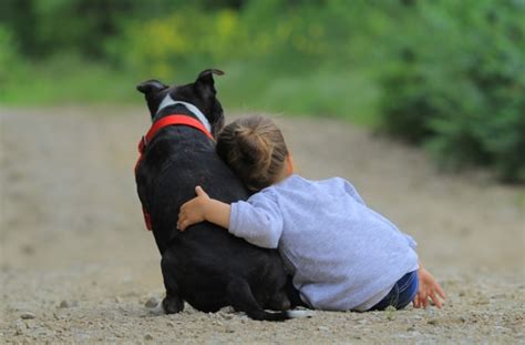 10 Reasons to Hug Your Dog | BeChewy