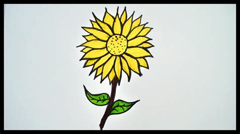 How To Draw A Sunflower || Drawing and Coloring For Kids - YouTube