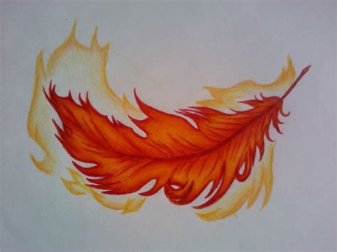 Phoenix feather wallpaper | 1024x768 | #10851