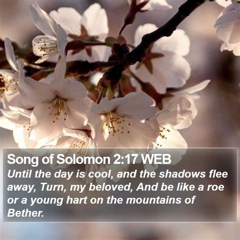 Song of Solomon 2:17 WEB - Until the day is cool, and the shadows flee ...