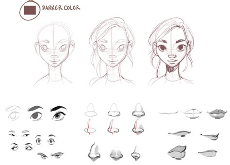 how to draw a female head - Google Search | Drawings, Art tutorials ...