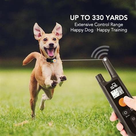 Dog Training Collar: All you Need to Know - Dog Products Guide