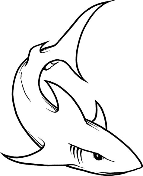 Cool Shark Drawings | Free download on ClipArtMag