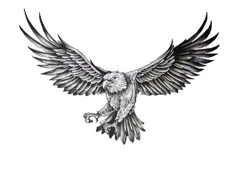 Eagle vector // bald eagle // tattoo | Eagle tattoos, Small eagle ...