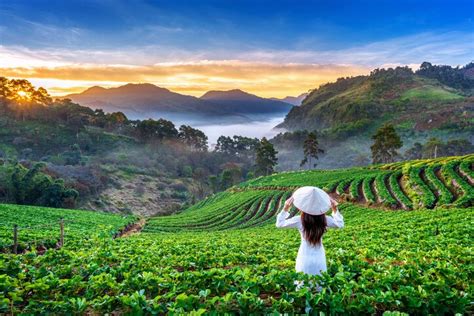 Thailand's Mountains, Rice Fields & Islands: Bangkok, Chiang Mai ...