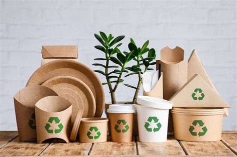 From Eco-Friendly Materials to Circular Economy: Discovering the Top ...