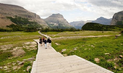 Logan Pass, Glacier National Park Hiking - AllTrips