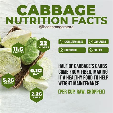 Cabbage Nutrition Facts in 2024 | Cabbage nutrition facts, Nutrition ...