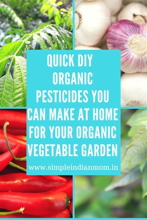 Quick DIY Organic Pesticides You Can Make At Home For Your Organic ...