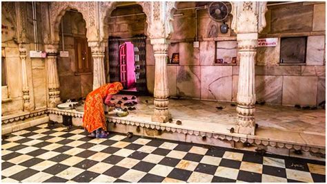 karni mata temple in rajasthan temple of rats india bikaner temple ...