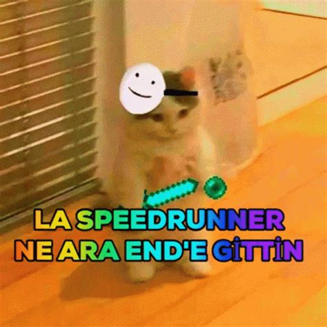 Speedrun GIF - Speedrun - Discover & Share GIFs