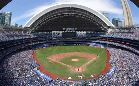 Toronto Blue Jays - Stadium Dude