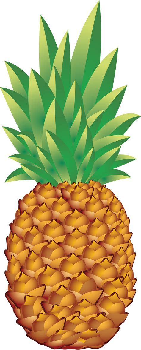 Free Pineapple Clipart Transparent Background, Download Free Pineapple ...