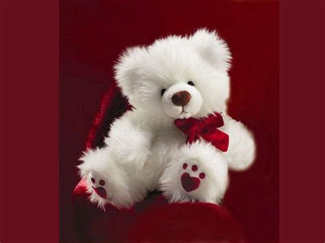 Wallpapers Teddy Bear - Wallpaper Cave