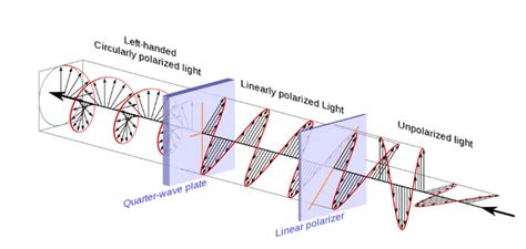 Polarization of Light - Polarized and Unpolarized Light with Types and ...