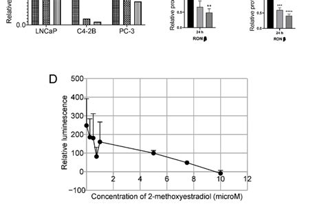 (a) Whole cell lysates from indicated cell lines was used to determine ...