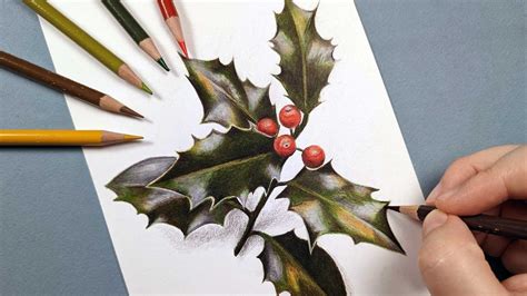 How to Draw Holly Leaves - Christmas Colour Pencil Drawing - YouTube