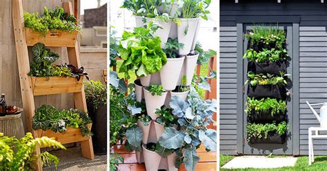 50+ Vertical Vegetable Gardens How To Build Pictures ~ Kitchen Gardens ...