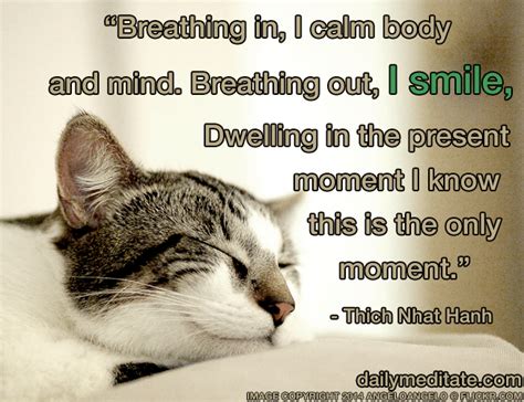 Meditation Quote 32: “Breathing in, I calm body and mind. Breathing out ...