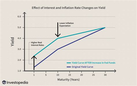 Understanding Treasury Yields and Interest Rates