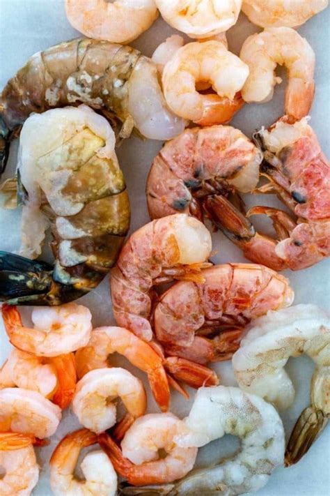 Types and Sizes of Shrimp - Jessica Gavin