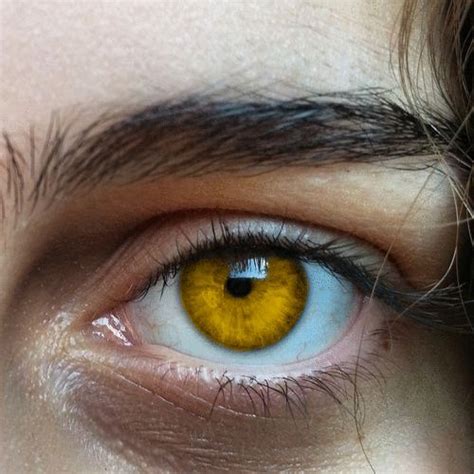 yellow eyes | Aesthetic eyes, Eye photography, Beautiful eyes color