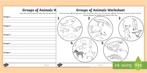 16 KINDERGARTEN GROUPING WORKSHEET