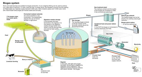 Biogas Power Plant Diagram