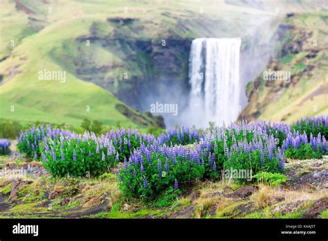 Famous Skogafoss waterfall Stock Photo - Alamy