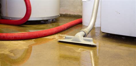 Your Guide to Water Damage Restoration and Basement Cleanup - Yellow ...