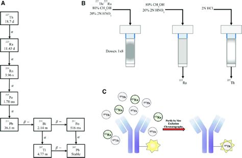 (A) Decay chain of 227 Ac, which decays into 227 Th and 223 Ra. (B ...