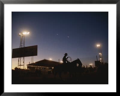 A Horse And Rider Prepare For The Rodeo At The New Mexico State Fair ...