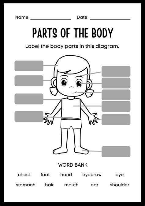 Parts of the Body Worksheet for Kids